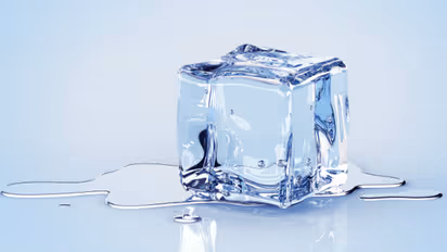 থাইরয়েড থেকে অনিদ্রা, কার্যকরী এই দাওয়াই বশে রাখবে সব সমস্যা