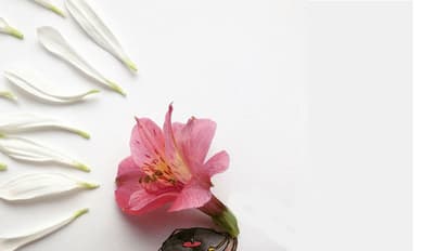 'ഹൃദയത്തിന് രോമാഞ്ചം' വെറുമൊരു പാട്ടല്ല!