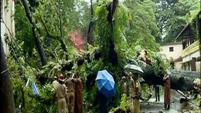 கேரளாவில் இடைவிடாமல் கொட்டித் தீர்க்கும் கனமழை: பள்ளி, கல்லூரிகள் மூடல்; அணைகள் திறப்பு!