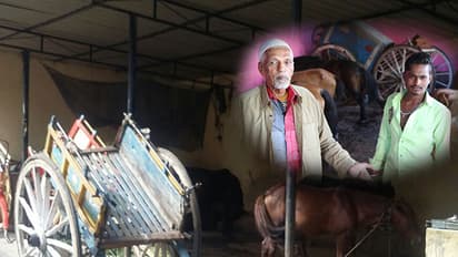 The tragic story of Tongas in Bengaluru