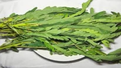 அல்சரைப் போக்க அகத்திக்கீரையை இப்படிதான் சாப்பிடனும்…