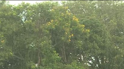 ಮೈಸೂರಿನ ದಸರಾದಲ್ಲಿ ತಂಪೆರದ ವರುಣ