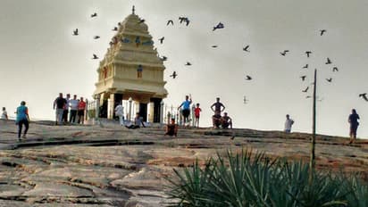 Bengaluru: Mantri Developers fined ₹114 crore for ecological violations