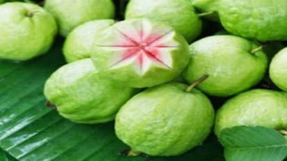 கொய்யாபழத்தை நாம் கட்டாயம் சாப்பிடனும். ஏன்?