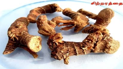 குழந்தைகள் முதல் பெரியவர்கள் வரை இருமலுக்கு சிறந்த மருந்து சிற்றரத்தை…1`