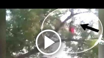 മരത്തിന് മുകളില് യുവതി നിസ്കരിക്കുന്ന വീഡിയോ വൈറലായി