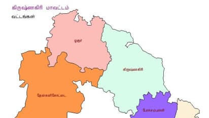 ரசாயன வர்ணம் பூசப்பட்ட விநாயகர் சிலைகளை நீர்நிலைகளில் கரைக்க கூடாது – ஆட்சியர் உத்தரவு…