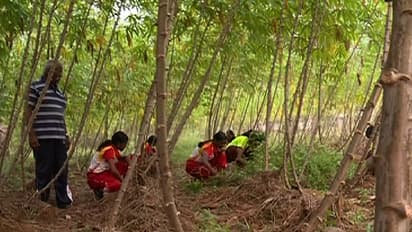 തോമസ് മാഷിന്റെ കുട്ടികള് കായികമേളയ്ക്കെത്തുന്നത് ഇല്ലായ്മകളെ പൊരുതിത്തോല്പ്പിച്ച്