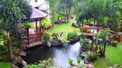 வீட்டுத்தோட்டம் அமைக்க இவையெல்லாம் கட்டாயம் தேவைப்படும்?