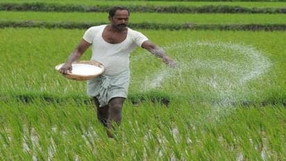 பஞ்சகவ்யா கொடுப்பதால் எந்தெந்த பயிர்களுக்கு என்னென்ன நன்மைகள்…