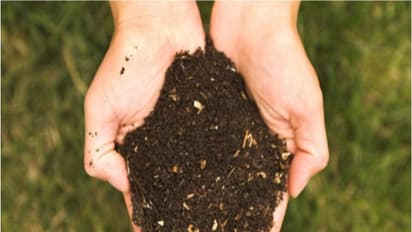 சில மண் வகைகளும் அவற்றுக்கு ஏற்ற பல மரங்களும்...