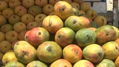 20 ದೇಶದಿಂದ ರಾಜ್ಯದ ಮಾವಿಗೆ ಬೇಡಿಕೆ