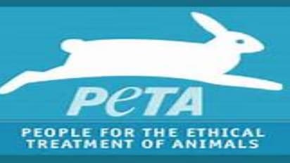 வருமான கணக்குகளை தாக்கல் செய்யாத ‘பீட்டா’...கடந்த 3 ஆண்டுகளாக மத்தியஅரசுக்கு ‘டிமிக்கி’