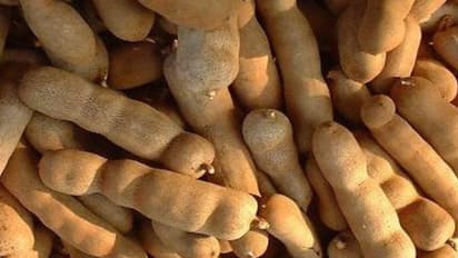 புளி தானேனு அலட்சியமாக நினைக்காதீங்க; அவ்வளவும் மருத்துவம்…