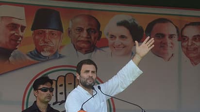 ರಾಹುಲ್ ಗಾಂಧಿ ಎಐಸಿಸಿ ನೂತನ ಅಧ್ಯಕ್ಷರಾಗಿ ಆಯ್ಕೆ