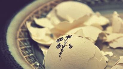 Don't throw away those eggshells; from house cleanser to face scrubber some unusual uses