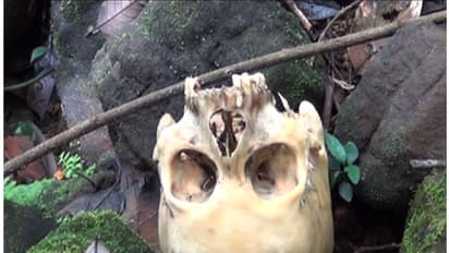 എരുമപ്പെട്ടിയിൽ സ്വകാര്യ വ്യക്തിയുടെ പറമ്പിൽ അസ്ഥികൂടം, 2 മാസം പഴക്കം; ആദ്യം കണ്ടത് നാട്ടുകാർ, അന്വേഷണം