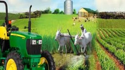 ಬೆಳೆ ವಿಮೆಯಿಂದ ಭಾರೀ ಲಾಭ ! ಆದರೆ ರೈತರಿಗಲ್ಲ