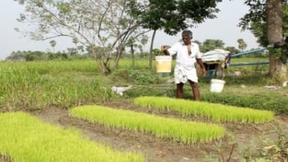 தொழிலாளியாக இல்லாமல் விவசாயம் மூலம் முதலாளியான பட்டதாரி…