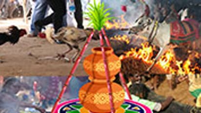 ముక్కనుమ రోజు... ప్రయాణం చేయొచ్చా..?