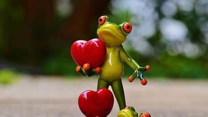 പ്രണയം ആണും പെണ്ണും തമ്മിലേ ആകാവൂ എന്ന് ശഠിക്കരുത്