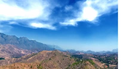 വേനല് കടുത്തു: പാലക്കാട് ജില്ലയില് തീപിടുത്തം വ്യാപകമാവുന്നു