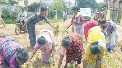 சேதமடைந்த சாலையை சீரமைக்காத அதிகாரிகள்; சாலையில் நாற்று நட்டு மக்கள் போராட்டம்….
