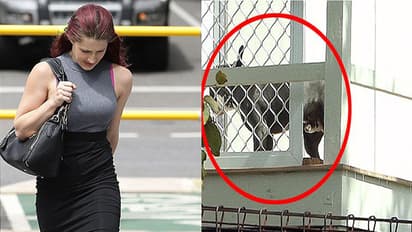 ಲೈಂಗಿಕ ಕ್ರಿಯೆಗೆ ನಾಯಿಯನ್ನ ಬಳಸಿಕೊಂಡ ಮಹಿಳೆ ಕಂಬಿ ಹಿಂದೆ..!