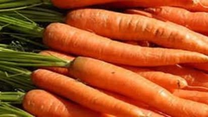 காரட்டில் நீங்கள் நினைத்துப் பார்த்திராத அளவுக்கு மகத்துவம் இருக்கு…