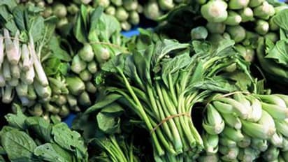 ಮಣ್ಣು ಇಲ್ಲದೇ ಹೂವು, ಸೊಪ್ಪು ಬೆಳೆಯಬಹುದು