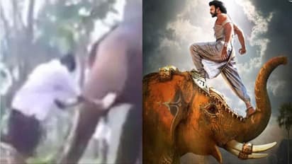 ഒടുവില്‍ കേരളത്തില്‍ നിന്നൊരു 'ബാഹുബലി' - വീഡിയോ