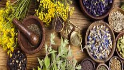 நீங்கள் ஆரோக்கியத்துடனும், பாதுகாப்புடனும் இருக்க பத்து எளிய டிப்ஸ்...