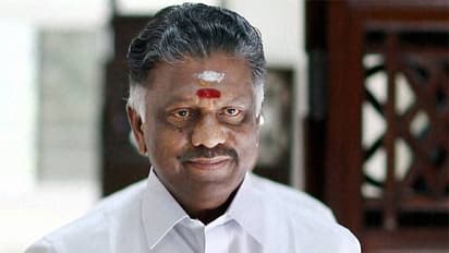 எம்ஜிஆர் சிலை எரித்த திமுகவினரை சும்மாவிடமாட்டோம்.. ஸ்டாலின் பொறுப்பேற்றக வேண்டும்.. சீறும் ஓபிஎஸ்.