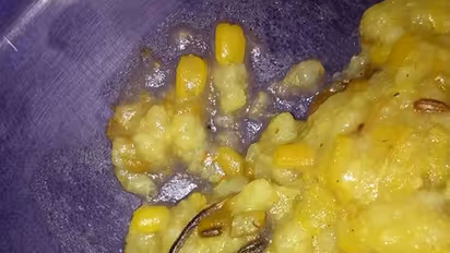 Snake in mid-day meal terrifies government school students in Faridabad