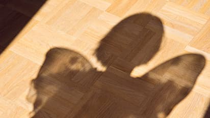 Boots and belts did not bog her spirits down: Now, a scholar, she has left her past behind