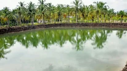 மீன் வளர்ப்புக் குளத்தைக் இப்படி அமைத்தால் இலாபம் பெறலாம்...