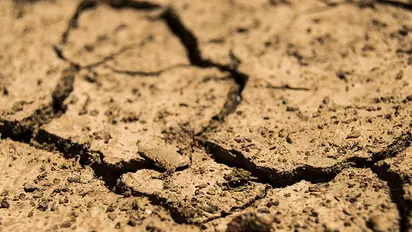 ಮಳೆಗಾಗಿ ಆಕಾಶದತ್ತ ಮುಖ ಮಾಡಿದ ರೈತ..!