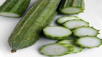 உங்களுக்குத் தெரியுமா? சர்க்கரை நோயாளிகள் பாகற்காய்க்கு மாற்றாக பீர்க்கன்காய் சாப்பிடலாம்…