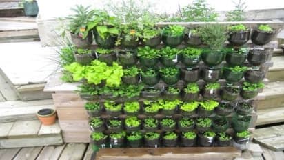 செடிகள் அருமையாக வளர கழிவுகளில் இருந்து உர டானிக்…