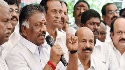 காவிக்கொடி கட்டி அண்ணா சிலையை அவமதிப்பதா..? விஷமிகள் மீது கடும் நடவடிக்கை... ஓ.பன்னீர்செல்வம் ஆவேசம்!