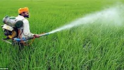 பூச்சிகளை அழிக்க ரசாயன பூச்சிக் கொல்லிகள் அவசியமா?