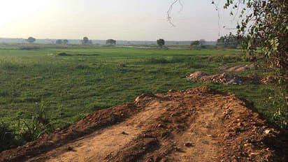 വയല് നികത്താന് ക്വട്ടേഷന് സംഘം; അനുമതിയുമായി ജിയോളജിക്കല് ഉദ്യോഗസ്ഥരും