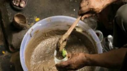 பஞ்சகவ்யத்தை இந்த முறையிலும் தயாரிக்கலாம்…