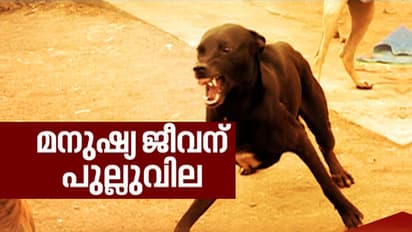 ചിറ്റിലപ്പള്ളിയും ജോസ് മാവേലിയും അനാവശ്യപ്രശ്‌നം  ഉണ്ടാക്കുന്നുവെന്ന് മൃഗസംരക്ഷണ ബോര്‍ഡ്