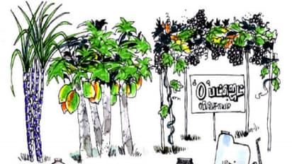 சுழியம் பட்ஜெட் விவசாயம் பற்றி கேள்விபட்டிருப்பீர்கள்; அதில் இன்னும் இவ்வளவு விவரங்கள் இருக்கு…