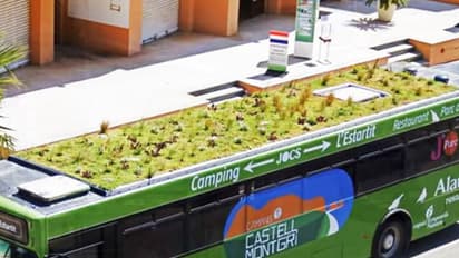 അന്തരീക്ഷ മലിനീകരണം കുറയ്ക്കാന് ബസുകള്ക്കു മുകളില് പൂന്തോട്ടം!