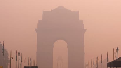 Delhi air pollution: Schools, colleges, thermal plants shut; offices asked to do 50% WFH