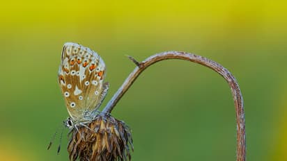 തോന്നുമ്പോള് വരാനും പോവാനുമല്ല പ്രണയം