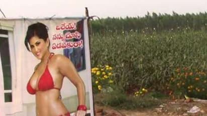 ಸನ್ನಿ ಲಿಯೋನ್ ಕೃಪೆಯಿಂದ ಬಂಪರ್ ಬೆಳೆ ಬೆಳೆದ ರೈತ