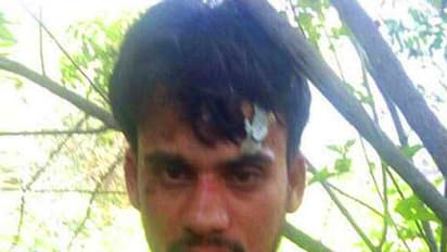 Hyderabad: Man arrested for raping dead pregnant dog